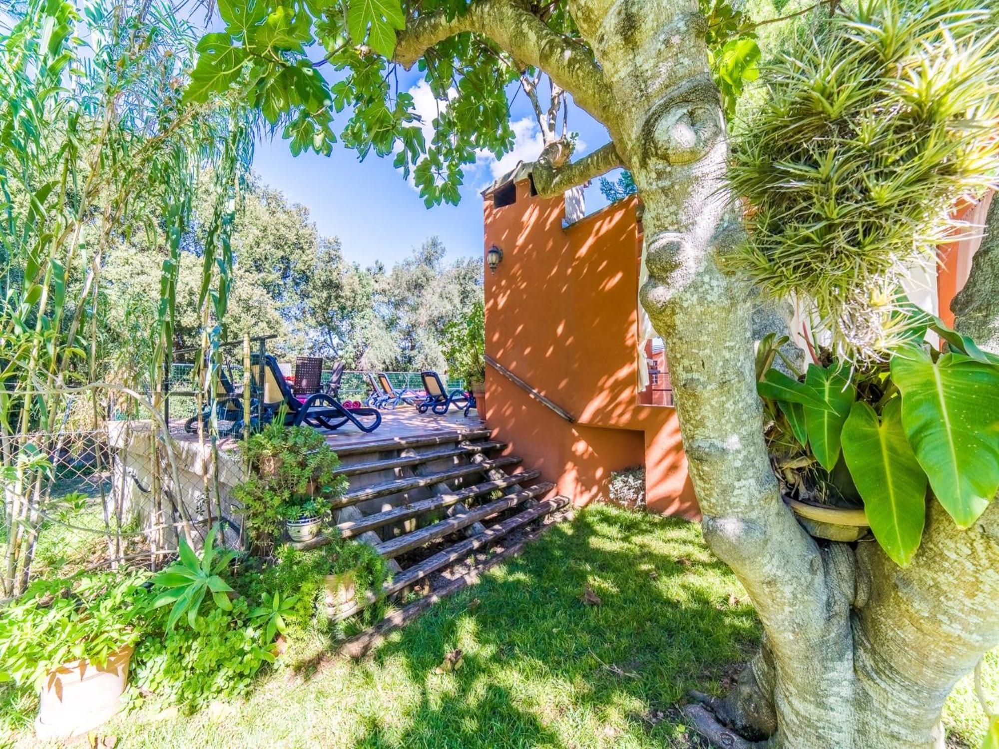 Finca In Mallorca With Private Pool บูเกร์ ภายนอก รูปภาพ